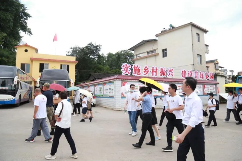 图片12