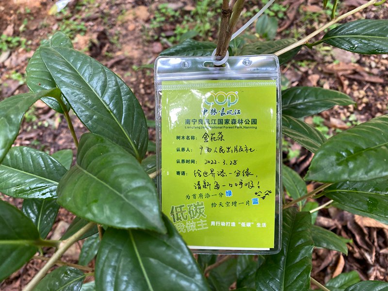 8（唐见婵 摄）