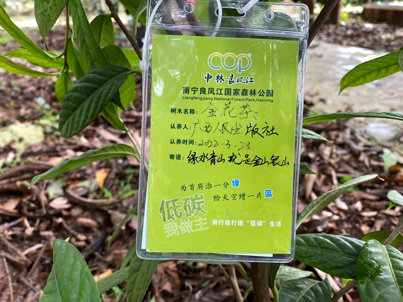 9（唐见婵 摄）